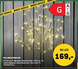 XL-BYG Veli line lystre 24y tilbud