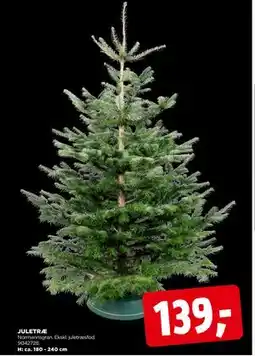 jem & fix JULETRÆ, DKK 139 tilbud