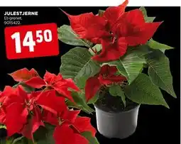 jem & fix JULESTJERNE, DKK 14.5 tilbud