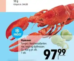 Citti Hummer, DKK 97.99 tilbud