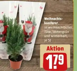 REWE DE Weihnachts- konifere¹ tilbud