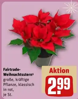 REWE DE Fairtrade- Weihnachtsstern¹ tilbud