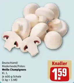REWE DE Deutschland/ Niederlande/Polen: Weiße Champignons Kl. I, tilbud