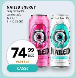 Scandinavian Park NAILED ENERGY, DKK 74.99 tilbud