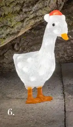 Harald Nyborg Julegås, DKK 99 tilbud