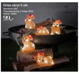 Harald Nyborg Grise akryl 5 stk, DKK 99 tilbud