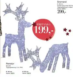 Harald Nyborg Rensdyr, DKK 199 tilbud