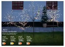 Harald Nyborg Lystræer med blomster tilbud