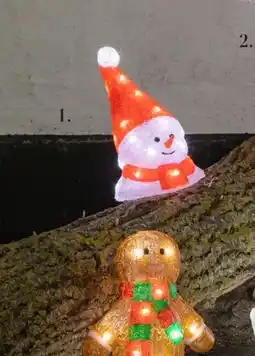 Harald Nyborg Snemandshoved, DKK 79 tilbud