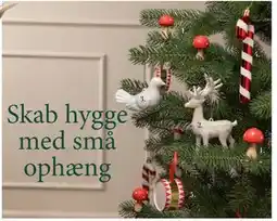 Harald Nyborg Prismefugl, DKK 15 tilbud