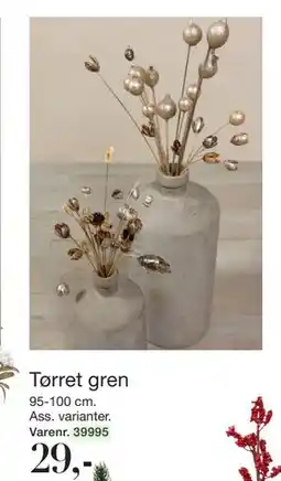 Harald Nyborg Tørret gren, DKK 29 tilbud