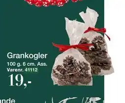 Harald Nyborg Grankogler, DKK 19 tilbud