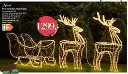 Harald Nyborg Pro rensdyr med kane, DKK 1299 tilbud