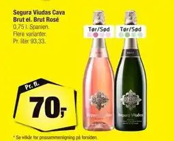 Calle Segura Viudas Cava Brut el. Brut Rosé, DKK 70 tilbud