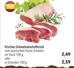 Citti Frisches Schweinelachsfleisch tilbud