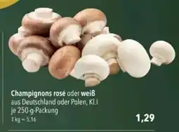 Citti Champignons rosé oder weiß tilbud