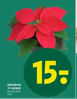 Coop 365 Julestjerne 3-4 grenet tilbud