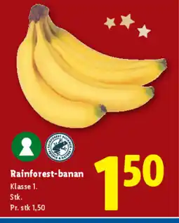 Lidl Rainforest-banan tilbud