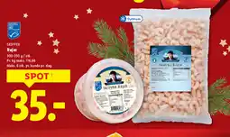 Lidl SKIPPER Rejer tilbud