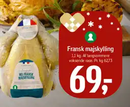 Føtex Fransk majskylling tilbud