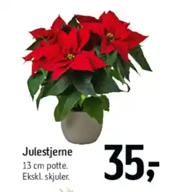 Føtex Julestjerne tilbud