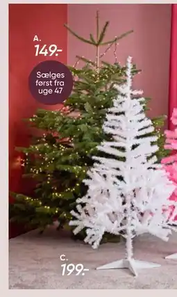 Bilka Nordmannsgran juletræ, DKK 149 tilbud