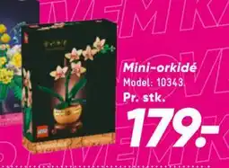 Bilka Mini-orkidé, DKK 179 tilbud