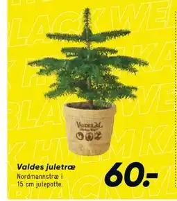 Bilka Valdes juletræ, DKK 60 tilbud