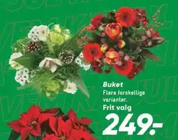 Bilka Buket, DKK 249 tilbud