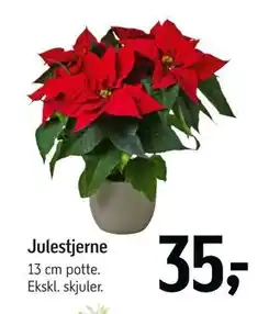 Føtex Julestjerne, DKK 35 tilbud