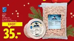 Lidl Rejer, DKK 35 tilbud