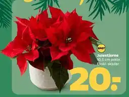 Netto Julestjerne, DKK 20 tilbud