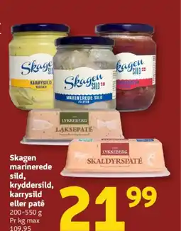 Løvbjerg Skagen marinerede sild, kryddersild, karrysild eller paté tilbud