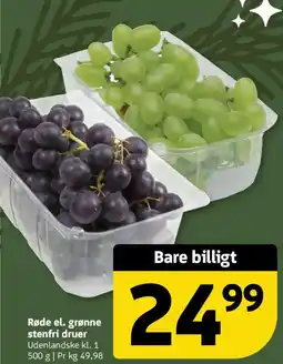 Løvbjerg Røde el. grønne stenfri druer tilbud