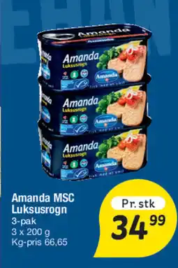 Fakta Tyskland Amanda MSC Luksusrogn tilbud