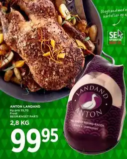 MENY ANTON LANDAND, DKK 99.95 tilbud