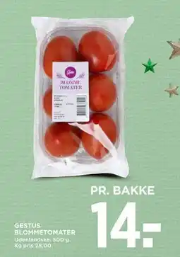 MENY GESTUS BLOMMETOMATER, DKK 14 tilbud