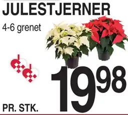 ABC Lavpris Julestjerner tilbud