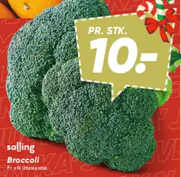 Bilka Salling Broccoli tilbud