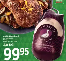 MENY Anton landand tilbud