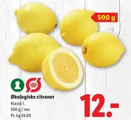 Lidl Økologiske citroner, DKK 12 tilbud