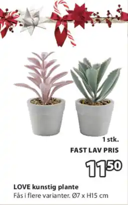 JYSK LOVE kunstig plante tilbud