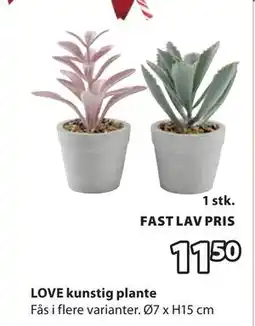 JYSK LOVE kunstig plante, DKK 11.5 tilbud