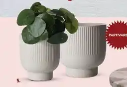 Daells Bolighus Urtepotteskjulere, DKK 309 tilbud