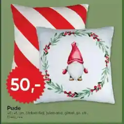 BigDollar Pude tilbud