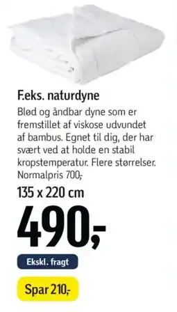 Føtex F.eks. naturdyne tilbud