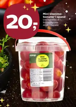 Kvickly Mini blomme- tomater i spand tilbud