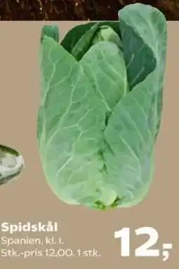Kvickly Spidskål tilbud