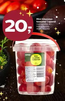 SuperBrugsen Mini blomme- tomater i spand tilbud
