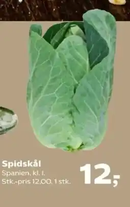 SuperBrugsen Spidskål tilbud